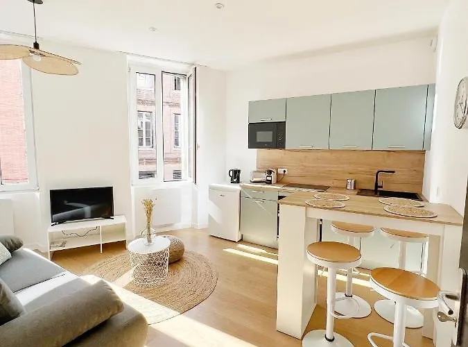 Le Carreau De Falguiere - Hypercentre - Gare شقة تولوز