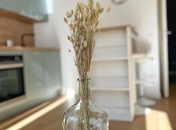 Le Carreau De Falguiere - Hypercentre - Gare Apartment