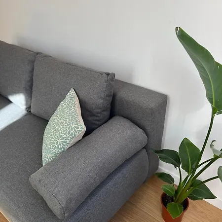 Apartmán Le Carreau De Falguiere - Hypercentre - Gare Toulouse